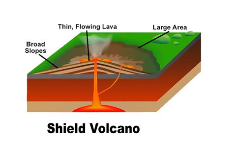 Image result for Shield Volcano Examples