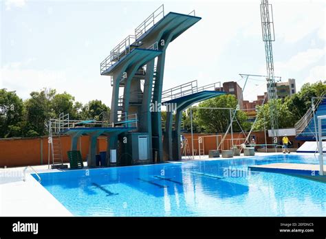 Pool Diving Platform 的图像结果