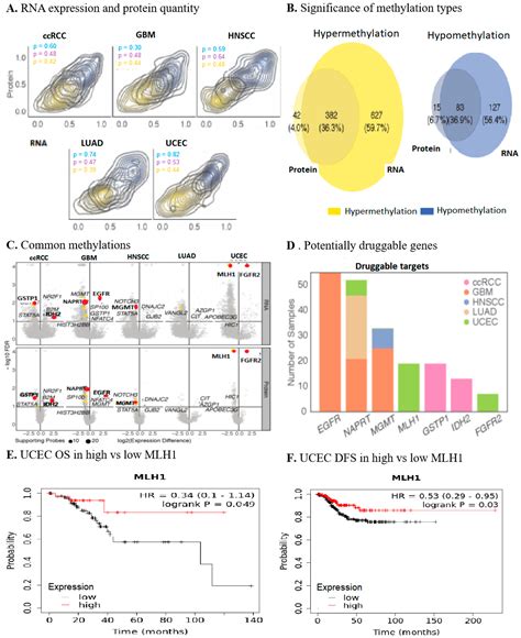 Depleted-MLH1 Expression Predicts Prognosis and Immunotherapeutic ...