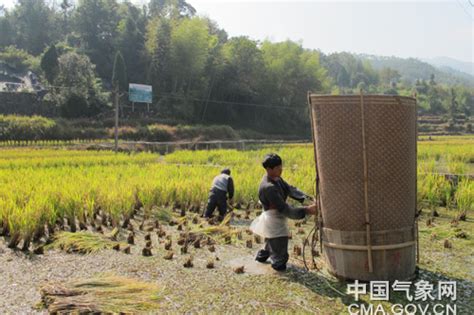 江浙传统农业的生态智慧-中国气象局政府门户网站