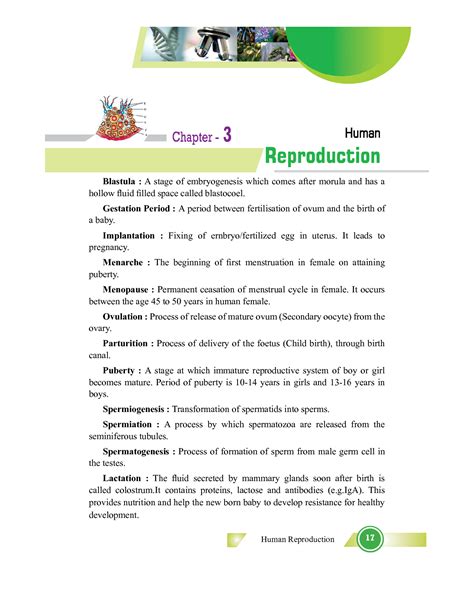 Image result for Class 12 Bio Human Reproduction