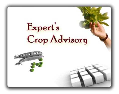 ICT-AAS_Advisory services