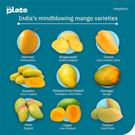 Image result for Mango Production Script Script