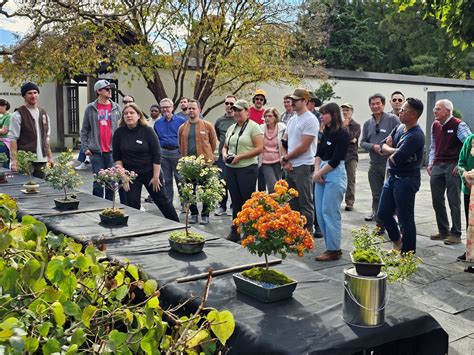 National Bonsai Foundation - Bonsai Museum Washington DC