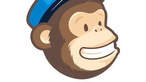 MailChimp Email Campaign Tutorial 的图像结果