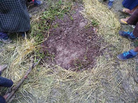 After Burhan Wani, Zakir Musa became face of militancy in Kashmir ...