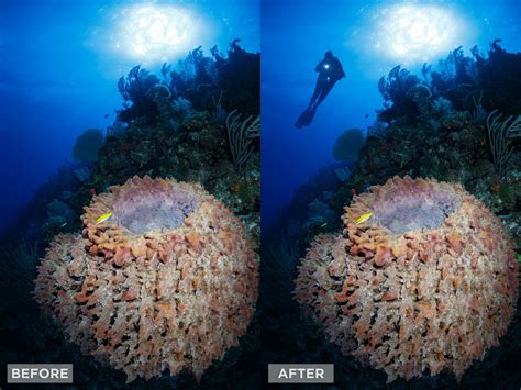 Compositing Tutorials 的图像结果