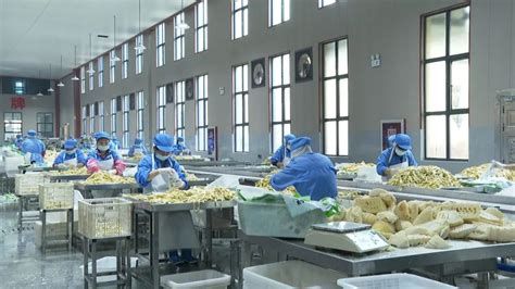 温州裕东助力江西广雅食品从小作坊到国家级重点龙头企业 - 裕东自动化