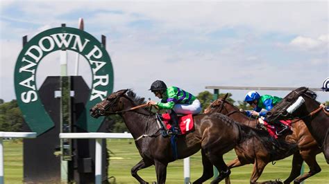 Horseracing: A review of the action from Leicester | Racing News | Sky ...