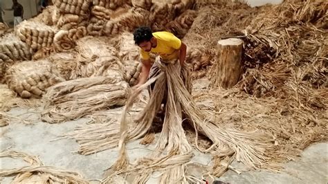 Image result for Process of Jute Making