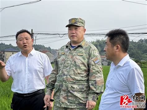 张海波到新开镇巡田、巡林-岳阳县政府网