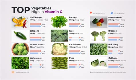 Top Vegetables High in Vitamin C