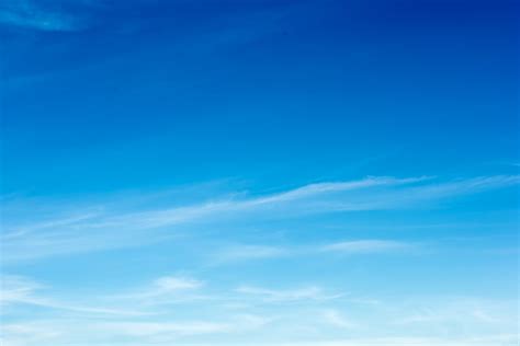 200+ Things That Are Blue in Nature (Full List and Photos) | Color Meanings