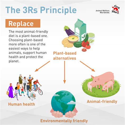 Animal Welfare & Nutrition - FOUR PAWS International - Animal Welfare ...