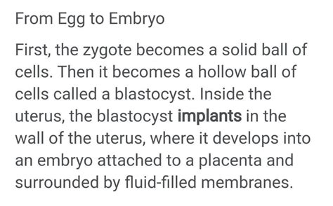How is an embryo development? - Brainly.in