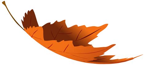 Autumn leaf color Autumn leaf color Clip art - autumn leaves png ...