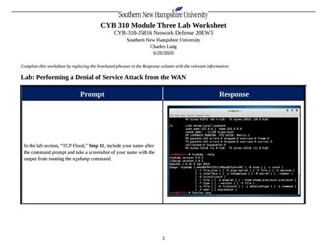 CYB 310 Module Three Lab Worksheet Charles Lang - CYB 310 Module Three ...