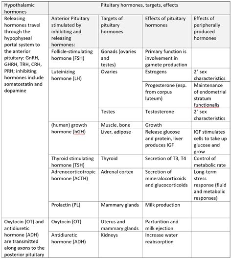 Image result for Endocrine System Flow Chart
