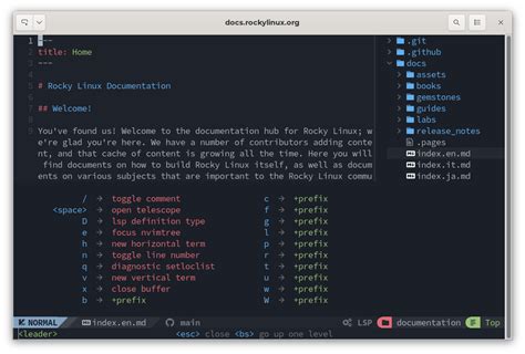NvChad UI - Documentation