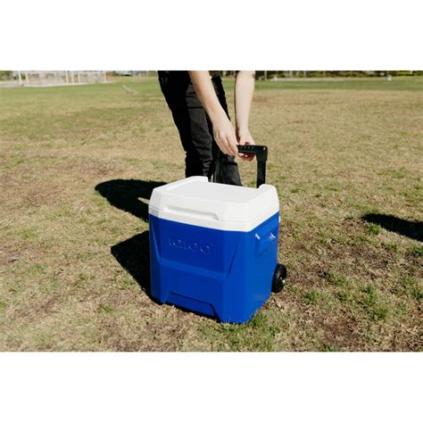 igloo ringleader hardtop backpack cooler