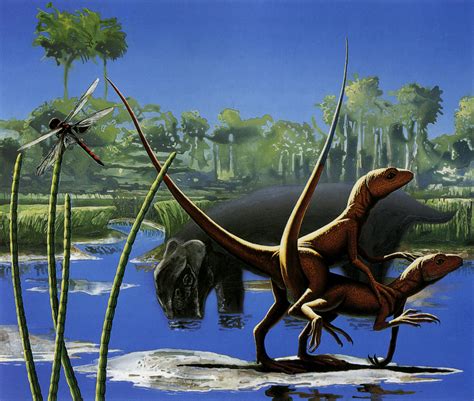 Future Animals Evolution 的图像结果