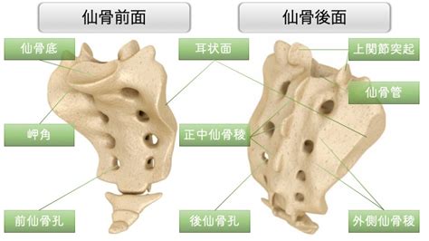 Image result for Proper Introduction for a Lab Report Example