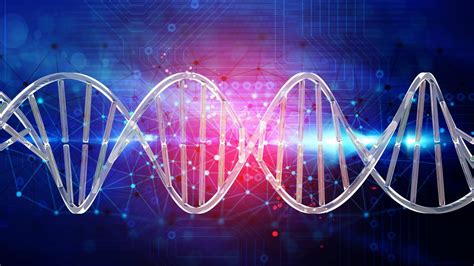 Comment Reprogrammer ADN 的图像结果