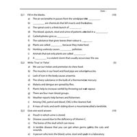 EVS Sample Paper - 5 - Sample Papers for Class 5 PDF Download