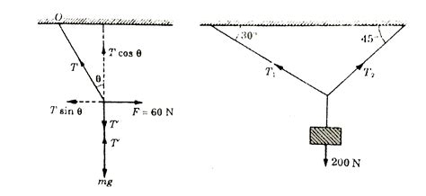 A mass of 10 kg is suspended vertically by a rope of length 2 m from a ...