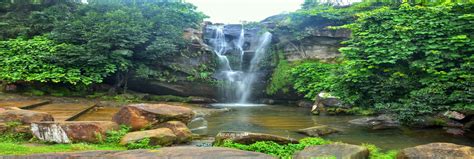 Bokaro Forest Region- Govt.of Jharkhand