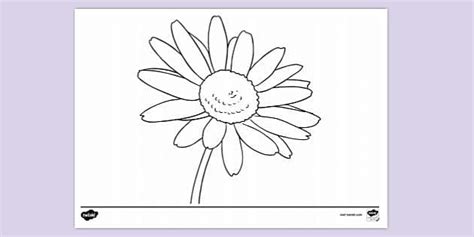 Flower Outline Colouring Sheet | Colouring Sheets