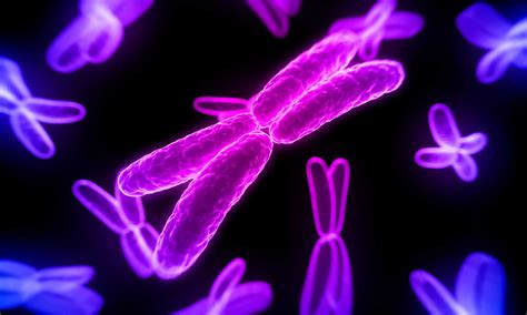 Scientists discover ‘reproductively advantageous’ bisexual genes