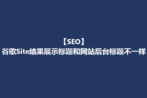 谷歌SEO-SEO王朝-外贸电商营销