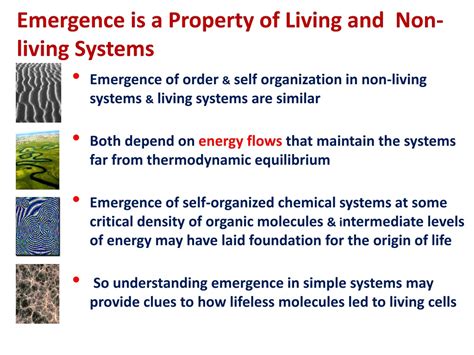 PPT - Emergent properties Why is the whole greater than the sum of its parts? PowerPoint ...