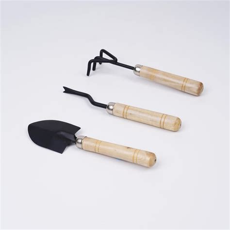 Buy Lets Garden Soil Set of 3 Iron Gardening Tools with Wooden Handle ...