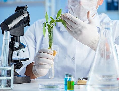 Biotechnology Lab Background 的图像结果