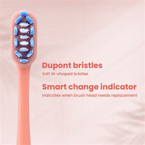 Morning Essential Duo (Neo Toothbrush & Toothpaste) – Dr.Dento - The ...