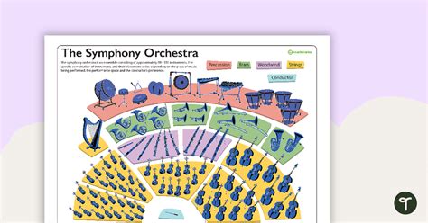 Image result for Orchestra Sections