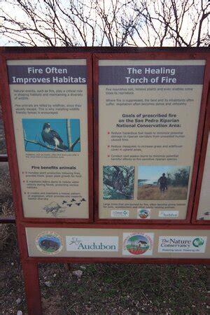 Little Boquillas Ranch Trailhead (Hereford) - 2021 What to Know Before ...