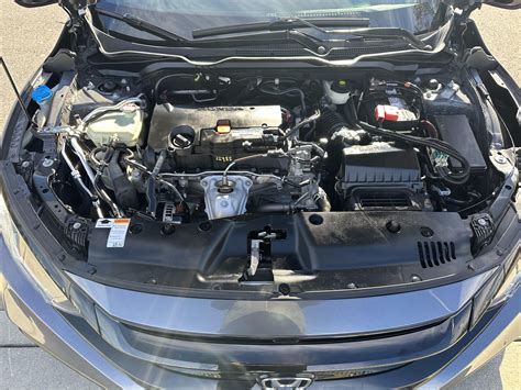 2019 Honda Civic Coupe | Next Level Auto Sales