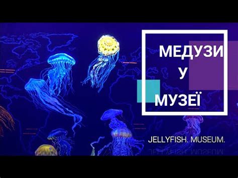 Музей медуз в Киеве. Отзывы посетителей.