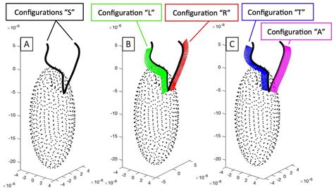 Hydrodynamic Effects of Mastigonemes in the Cryptophyte Chilomonas ...