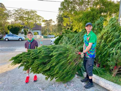 Normanhurst Scout’s 2024 Christmas Tree Fundraiser!, BP Normahurst, 155 ...