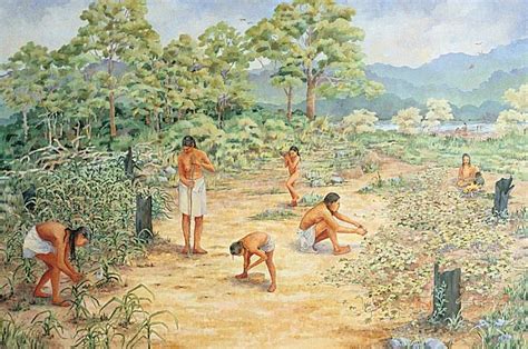 Agriculture’s Impact on Native Tribes Development