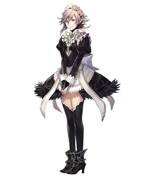 Image result for Daplancer