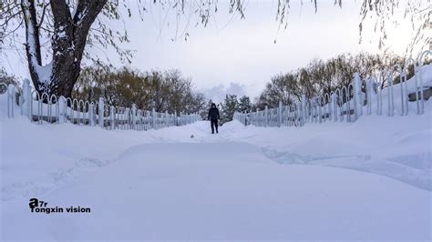 今年入冬第一场雪（2）-中关村在线摄影论坛