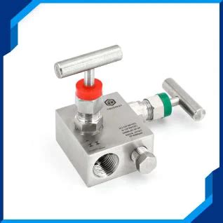 2 Valve Manifold T Type (2VMR) - Trueway Engineering Industries ...