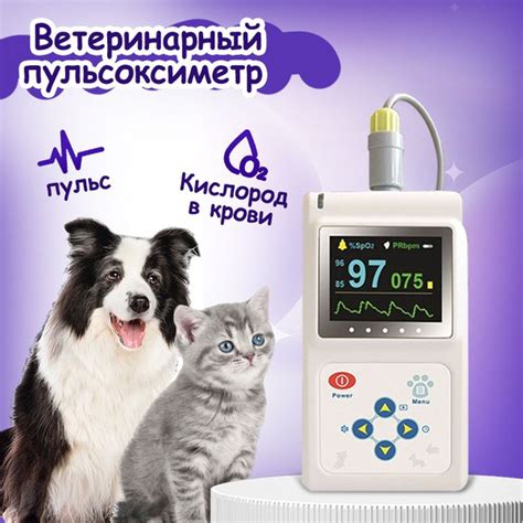 CONTEC Ветеринарный пульсоксиметр CMS60D-VET - купить с доставкой по ...