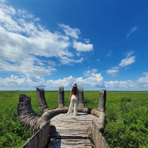 Cassidy Nicole Lawrence 🌸 | Will forever remember these amazing views 🌴 Felt so small looking ...