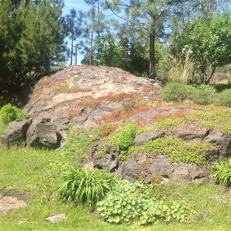 SOUTH HILL (2026) All You Need to Know BEFORE You Go (with Photos ...
